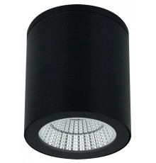 Накладной светильник Arte Lamp TORCULAR A1313PF-1BK