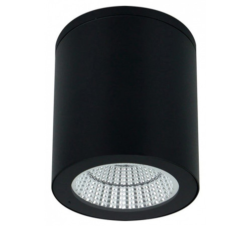 Накладной светильник Arte Lamp TORCULAR A1313PF-1BK