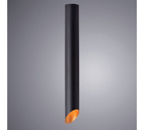 Накладной светильник Arte Lamp Pilon-Gold A1537PL-1BK