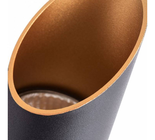 Накладной светильник Arte Lamp Pilon-Gold A1537PL-1BK