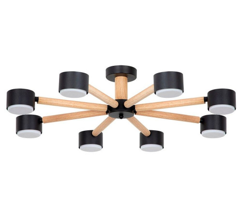 Потолочная люстра Arte Lamp TENDA 8 ламп A1624PL-8BK