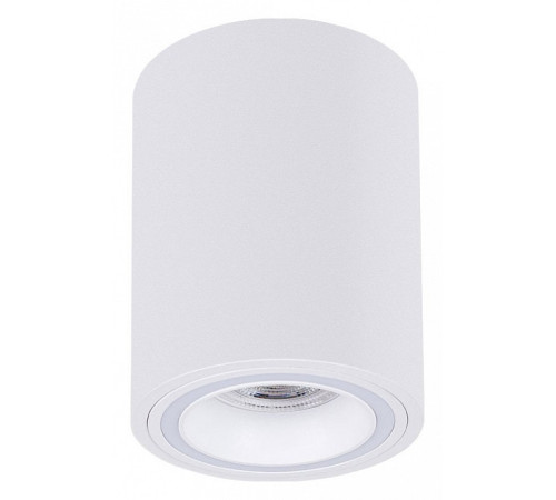 Накладной светильник Arte Lamp Imai A2267PL-1WH