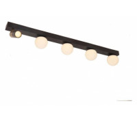 Накладной светильник Arte Lamp Zosma A2608PL-5BK