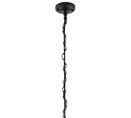 Подвесной светильник Arte Lamp Belfast A4569SO-1BK