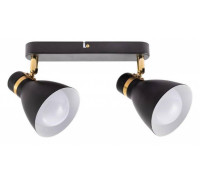 Спот Arte Lamp Fafnir A5047PL-2BK