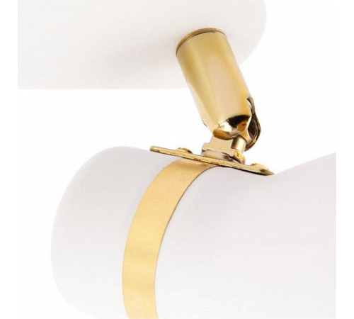 Спот Arte Lamp Fafnir A5047PL-2WH