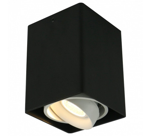 Накладной светильник Arte Lamp 5655 A5655PL-1BK