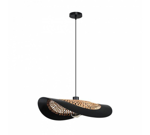 Подвесной светильник Arte Lamp Woodstock A7059SP-1BK