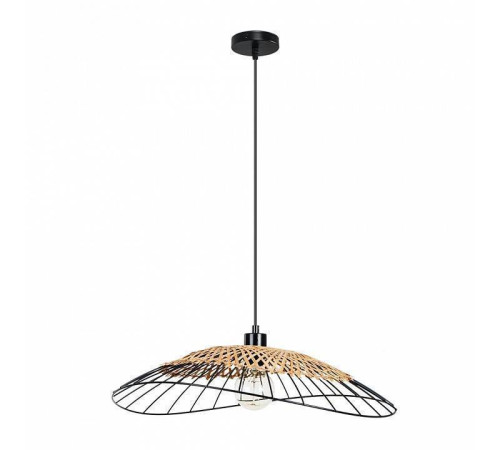 Подвесной светильник Arte Lamp Woodstock A7061SP-1BK
