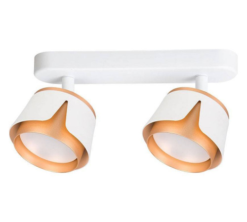 Спот Arte Lamp Amaks 2 лампы белый A8028PL-2WH