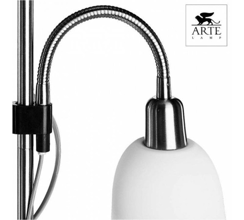 Торшер с подсветкой Arte Lamp Duetto A9569PN-2SS