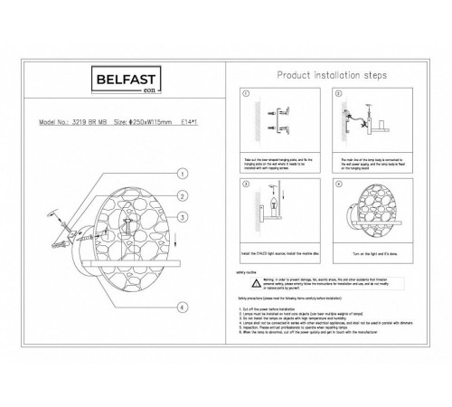 Накладной светильник Belfast Ravenhill 3219 BR MB