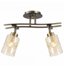 Спот Citilux Мерида CL142124