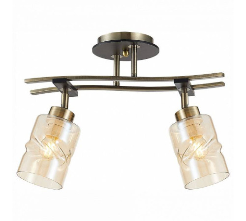 Спот Citilux Мерида CL142124