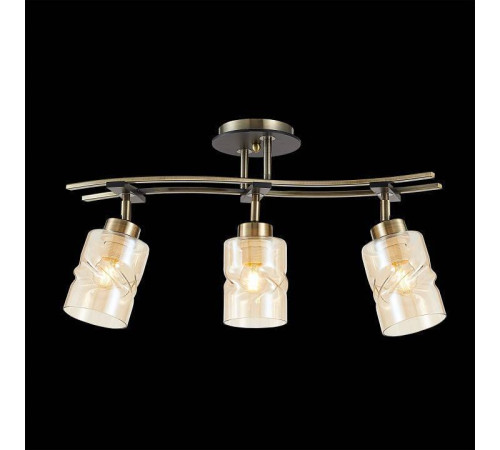 Спот Citilux Мерида CL142134