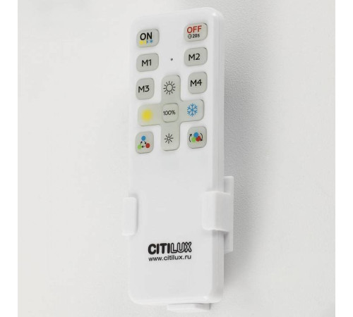 Потолочная люстра Citilux Стиг CL203131