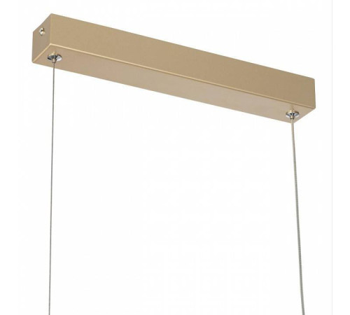 Подвесной светильник Citilux Eva CL210112