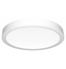 Накладной светильник Citilux Галс CL5522N