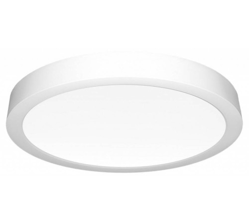 Накладной светильник Citilux Галс CL5522N