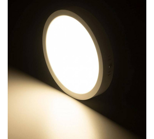 Накладной светильник Citilux Галс CL5522N