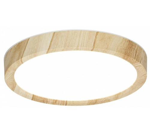 Накладной светильник Citilux Бейсик CL738122N