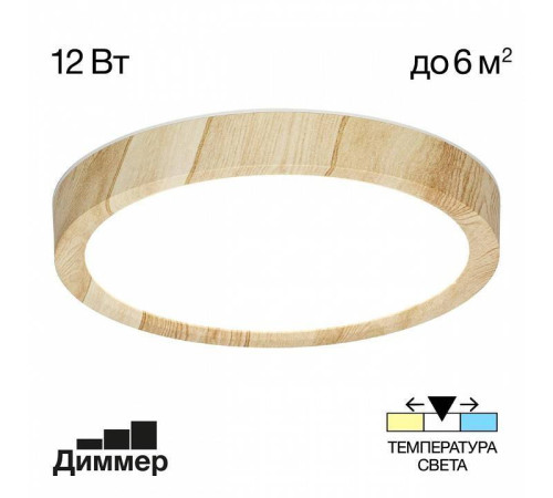 Накладной светильник Citilux Бейсик CL738122N