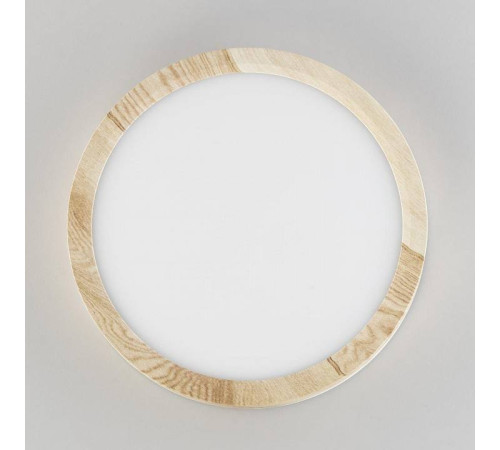 Накладной светильник Citilux Бейсик CL738122N