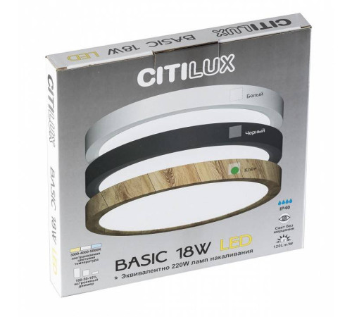 Накладной светильник Citilux Бейсик CL738122N