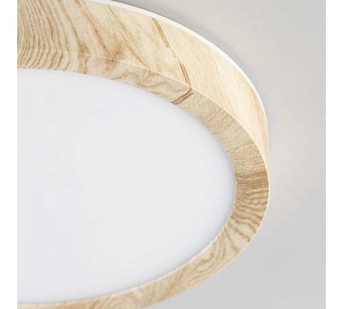 Накладной светильник Citilux Бейсик CL738122N