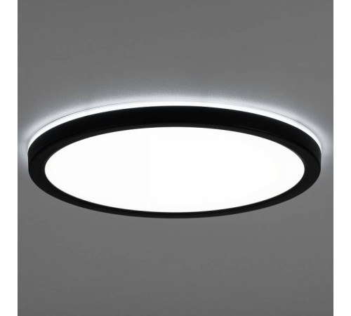 Накладной светильник Citilux Бейсик Лайн CL738241EL