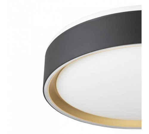 Накладной светильник Citilux BOSS CL751251G