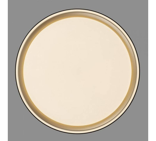 Накладной светильник Citilux BOSS CL751251G