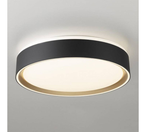 Накладной светильник Citilux BOSS CL751251G