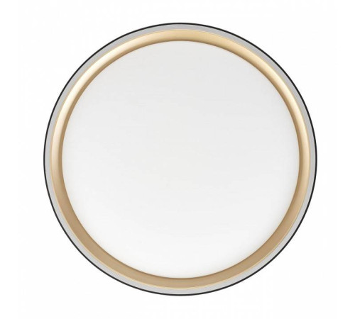 Накладной светильник Citilux BOSS CL751251G