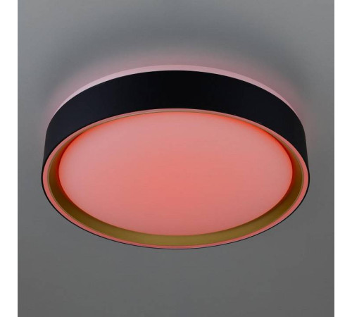 Накладной светильник Citilux BOSS CL751251G