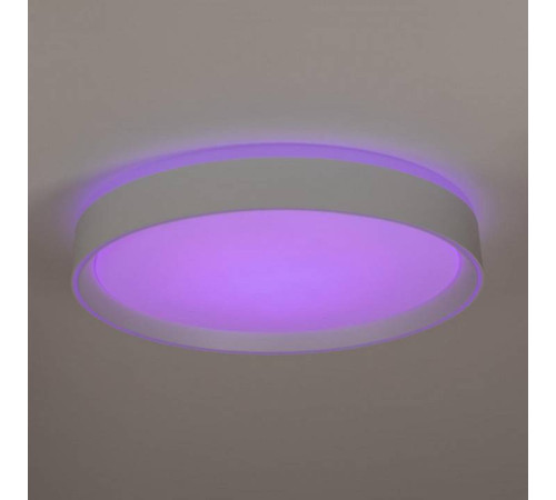 Накладной светильник Citilux BOSS CL751350G