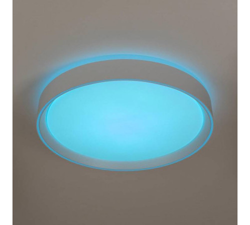 Накладной светильник Citilux BOSS CL751350G