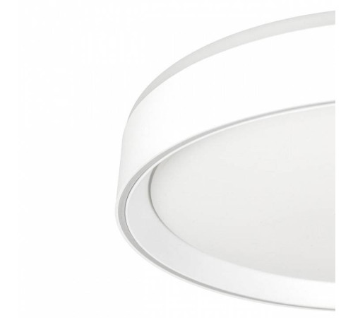 Накладной светильник Citilux BOSS CL751350G