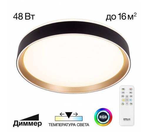 Накладной светильник Citilux BOSS CL751351G