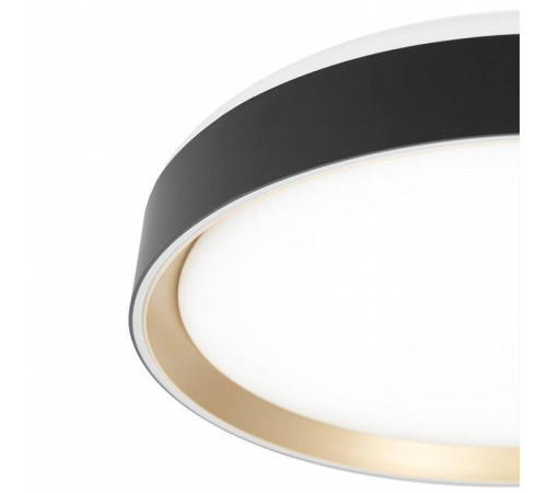 Накладной светильник Citilux BOSS CL751351G