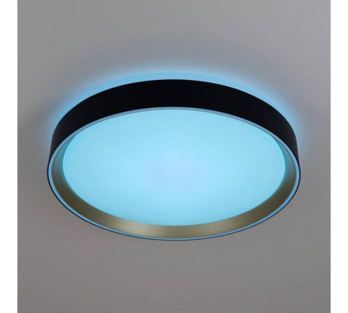 Накладной светильник Citilux BOSS CL751351G