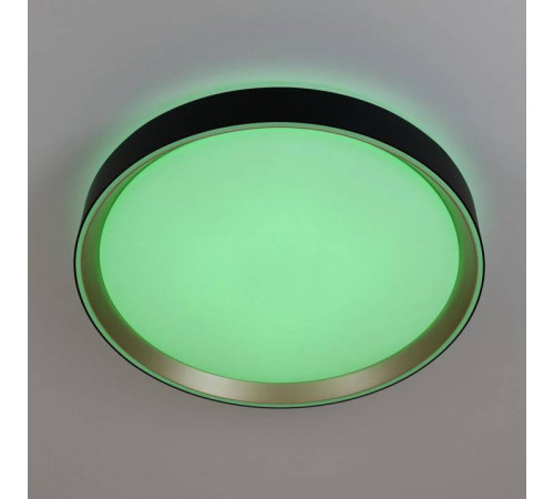 Накладной светильник Citilux BOSS CL751351G