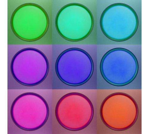 Накладной светильник Citilux BOSS CL751351G