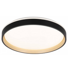 Накладной светильник Citilux ENZO CL753451G