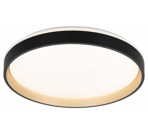 Накладной светильник Citilux ENZO CL753451G