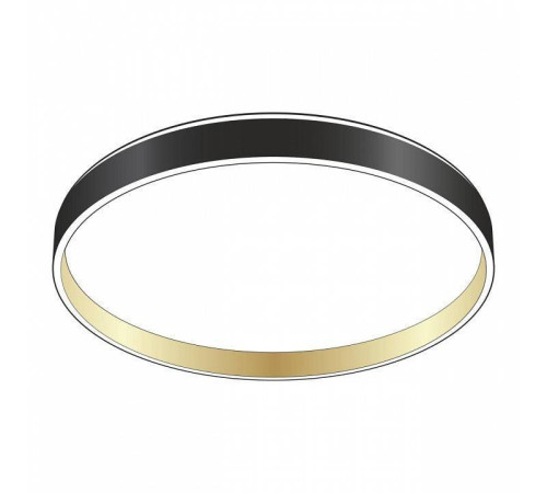 Накладной светильник Citilux ENZO CL753451G