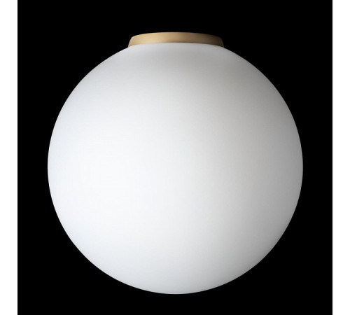 Накладной светильник Citilux RON CL941D25B2