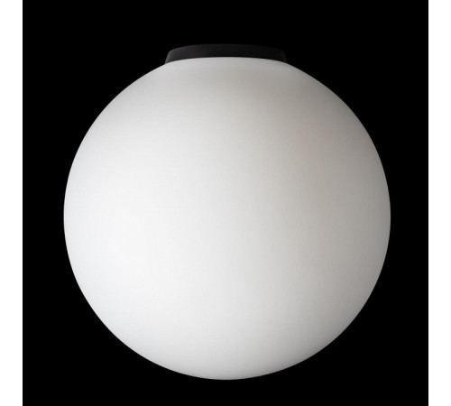 Накладной светильник Citilux RON CL941D25B5