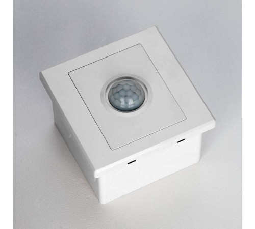 Датчик движения и освещенности Citilux Skally CLR005KS0