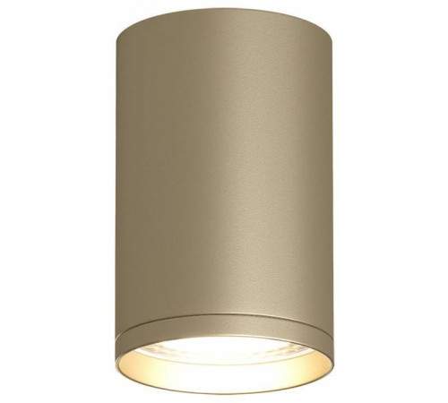 Накладной светильник Denkirs Tube DK2050-SG